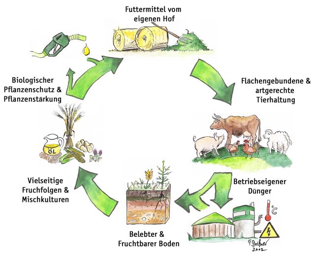 Geschlossener Kreislauf_Bio__kl