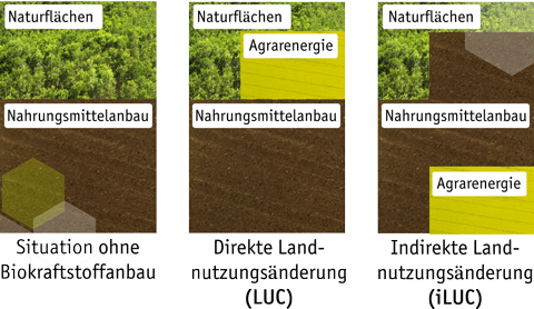 luc-und-iluc_waben3