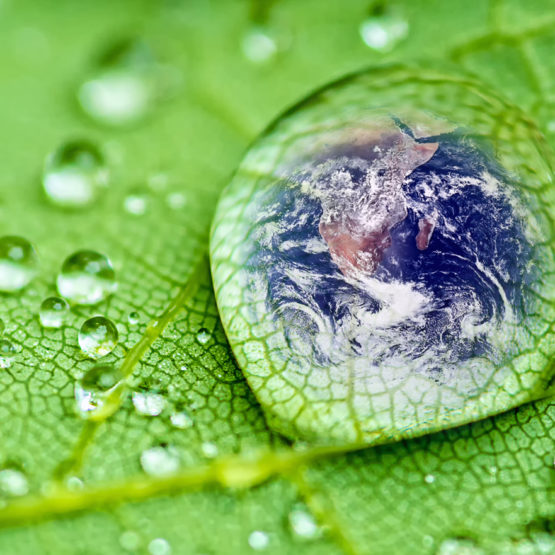 shutterstock_229758565_1400