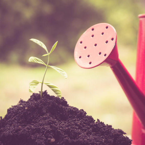 shutterstock_281859059