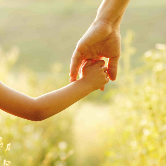 shutterstock_246686527(1) Versicherungen in der Verantwortung