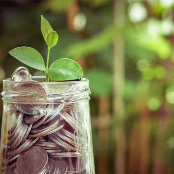 shutterstock_296823611(3)