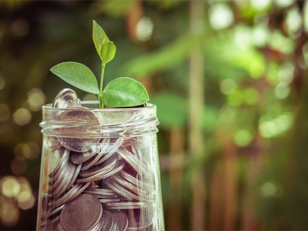 shutterstock_296823611(3)